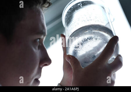 Auf 0001 Donnerstag, 26. September Newcastle University PHD-student Max Kelly, 24, unter Embargo am Benton Proctor & Gamble Website in Newcastle, Ansichten Mikrofasern gesammelt nach einer Waschmaschine waschen Zyklus. Stockfoto