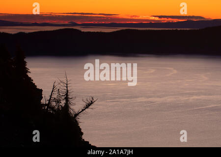 Crater Lake Sonnenaufgang mit Whitebark pine Baumstumpf aus Wächter übersehen, Crater Lake National Park, den Vulkan Legacy National Scenic Byway, Oregon Stockfoto