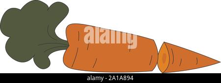 Karotte in der Hälfte, Illustration, Vektor auf weißem Hintergrund. Stock Vektor