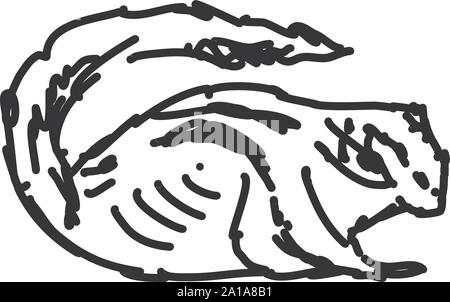 Chipmunk Zeichnung, Illustration, Vektor auf weißem Hintergrund. Stock Vektor