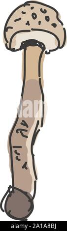 Lange Pilz, Illustration, Vektor auf weißem Hintergrund. Stock Vektor