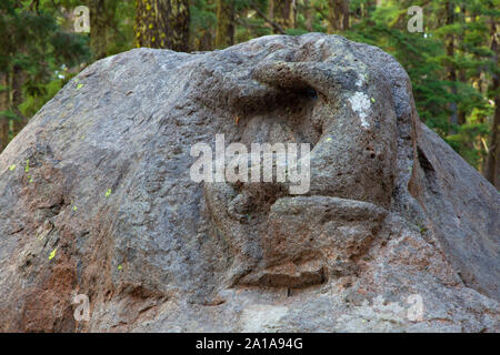 Herrin der Wälder, Crater Lake National Park, den Vulkan Legacy National Scenic Byway, Oregon Stockfoto