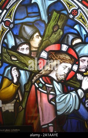 Fenster mit der Passion Christi, die ursprünglich aus der Kirche St. Maria, Ixworth. Windows sind auf dem Display in Ipswich, Ipswich Suffolk UK Museum Stockfoto
