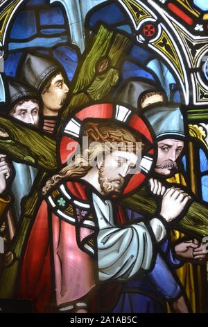 Fenster mit der Passion Christi, die ursprünglich aus der Kirche St. Maria, Ixworth. Windows sind auf dem Display in Ipswich, Ipswich Suffolk UK Museum Stockfoto