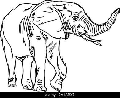 Elefanten, Zeichnung, Illustration, Vektor auf weißem Hintergrund. Stock Vektor