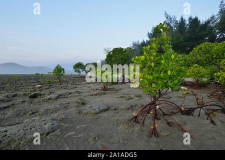 Indien, Aussicht auf dem Sattel Peak und Kalipur Strand von Andaman und Nicobar Inseln Stockfoto