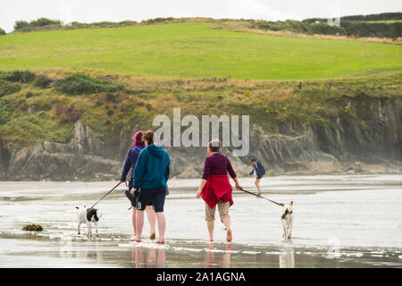 Reise und Tourismus in Großbritannien: die Leute gehen mit ihren Hunden zusammen am Sandstrand am Newport (Trefdraeth) Pembrokeshire, West Wales, August 2019 Stockfoto