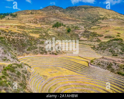 Muränen, Inka experimentelle Felder in den peruanischen Anden bei Cuzco, Peru. Südamerika. Stockfoto