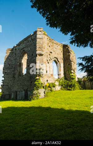 Die dramatischen Ruinen von St. Dogmael's Abbey, auf der bankks des Flusses Teifi in St. Dogmaels, Strickjacke, Wales. Im Jahre 1120 an der Stelle eines älteren pre-normannische Kirche, St. Dogmael seinen Status als ein religiöses Zentrum in umfangreichen Ruinen, die vier Jahrhunderte des monastischen Lebens gesehen werden können. Elemente der Kirche und Kreuzgang aus dem 12. Jahrhundert in Herkunft, während die hohen Westen und Norden Wände des Kirchenschiffs sind aus dem 13. Jahrhundert. Es gibt eine feine Nord Tor mit dem 14. Jahrhundert Dekoration und einem nördlichen Querschiff, in der Tudor Periode gebaut. Stockfoto