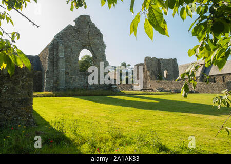 Die dramatischen Ruinen von St. Dogmael's Abbey, auf der bankks des Flusses Teifi in St. Dogmaels, Strickjacke, Wales. Im Jahre 1120 an der Stelle eines älteren pre-normannische Kirche, St. Dogmael seinen Status als ein religiöses Zentrum in umfangreichen Ruinen, die vier Jahrhunderte des monastischen Lebens gesehen werden können. Elemente der Kirche und Kreuzgang aus dem 12. Jahrhundert in Herkunft, während die hohen Westen und Norden Wände des Kirchenschiffs sind aus dem 13. Jahrhundert. Es gibt eine feine Nord Tor mit dem 14. Jahrhundert Dekoration und einem nördlichen Querschiff, in der Tudor Periode gebaut. Stockfoto