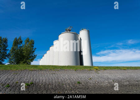 Walsoorden, Niederlande, 15. September 2019, Gerste Silos mit zwei Bäumen neben dem Foto war sehr niedrig, Hintergrund blauer Himmel mit weißen Wolken Stockfoto