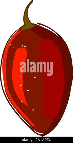 Red tamarillo, Illustration, Vektor auf weißem Hintergrund. Stock Vektor