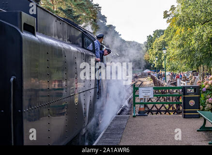 Zug Taucher und Mate an Bord der Schwarze Prinz Dampflok auf Holt Bahnhof auf der Norfolk Poppy Linie Stockfoto