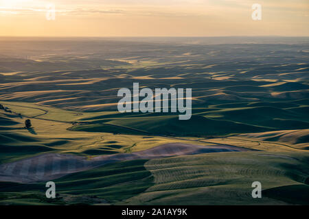 Schönen Sonnenuntergang goldenen Stunde Blick auf die Palouse ab Steptoe Butte State Park im Staat Washington, USA gesehen Stockfoto