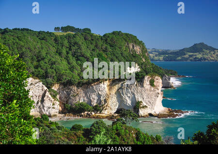 Küsten-Ansicht, Te Whanganui-A-Hei Marine Reserve, Coromandel Peninsula, Region Waikato, Nordinsel, Neuseeland Stockfoto