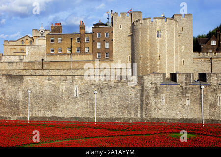 Blut fegte Länder und Meere der Roten Installation am Tower von London Kennzeichnung 100 Jahre seit dem 1. Weltkrieg. Stockfoto