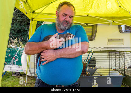 Ein bärtiger Mann liebevoll mit seinem Haustier Frettchen. Stockfoto