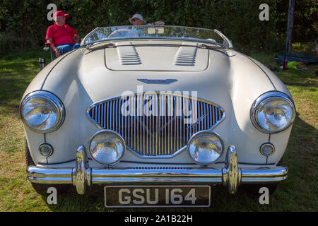 Austin Healey 100 m Britische Sportwagen ein Klassiker und Oldtimer Show in Belbroughton, UK. Stockfoto