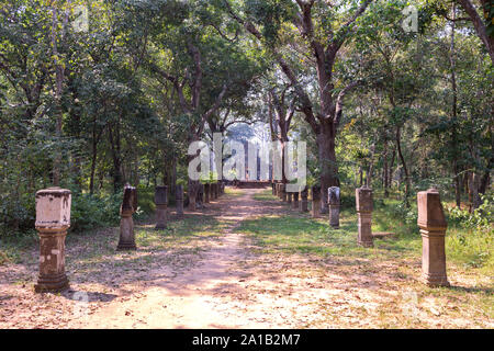 Ein Wanderweg in den Wald, die sich durch den kambodschanischen Dschungel in der Tempelanlage Angkor Wat Stockfoto