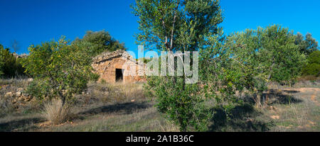 Cabanes de Volta, Construcción rural de Piedra en Seco, Valle del, Les Garrigues, Lleida, Katalonien, Spanien Stockfoto