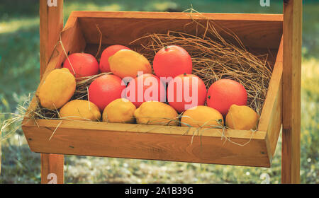 Orange orangen und gelben Zitronen in einer Box Stockfoto