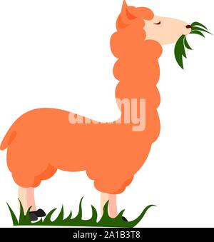 Orange Lama, Illustration, Vektor auf weißem Hintergrund. Stock Vektor