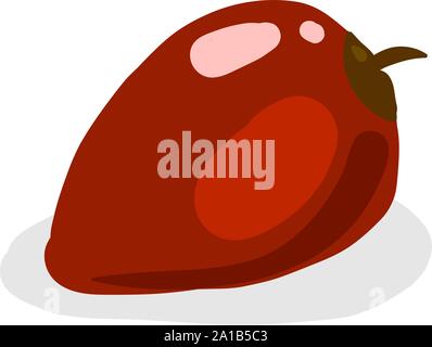 Red tamarillo, Illustration, Vektor auf weißem Hintergrund. Stock Vektor