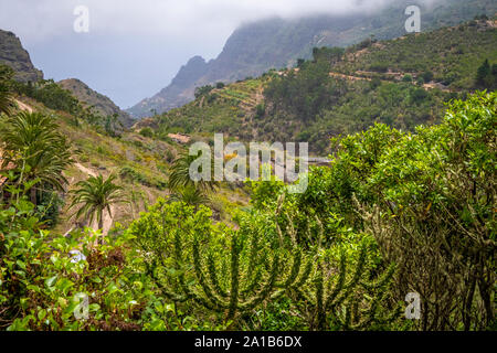 Wunderschönes Bergdorf Las Rosas auf der Insel La Gomera, Kanarische Inseln, Spanien Stockfoto