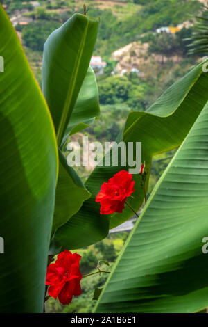 Wunderschönes Bergdorf Las Rosas auf der Insel La Gomera, Kanarische Inseln, Spanien Stockfoto