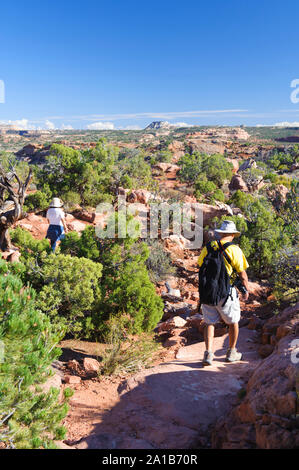 Wanderer auf dem Umbruch Dome Overllook Trail, Utah. Canyonlands National Park, Utah, USA. Stockfoto