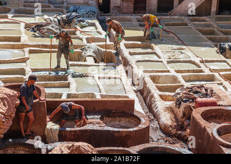 Arbeitnehmer bei Chouara Gerberei eine der drei Gerbereien in Fes, Marokko. Im 11. Jahrhundert erbaut, ist es das größte Gerberei in der Stadt. Stockfoto