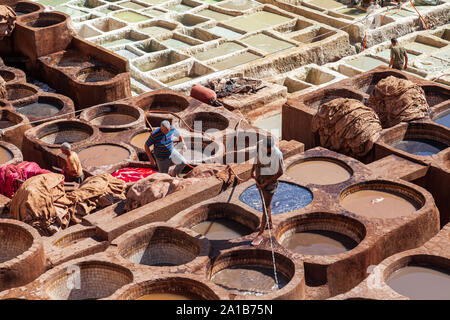 Arbeitnehmer bei Chouara Gerberei eine der drei Gerbereien in Fes, Marokko. Im 11. Jahrhundert erbaut, ist es das größte Gerberei in der Stadt. Stockfoto