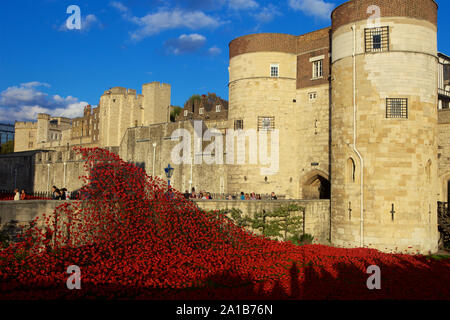 Blut fegte Länder und Meere der Roten Installation am Tower von London Kennzeichnung 100 Jahre seit dem 1. Weltkrieg. Stockfoto