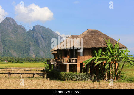 Vieng Tara Villa. Reisfelder mit atemberaubendem Blick auf die Berge zurück. Vang Vieng. Laos. Stockfoto