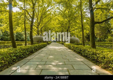 Nanjing Ming Xiaoling Mausoleum Elephant Straße Geist Weg Linien Zwei Sitzende Kamele Skulpturen Stockfoto