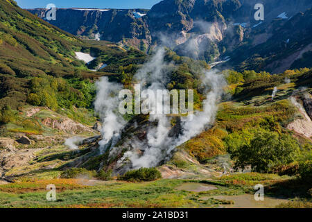 Tal der Geysire, Kronotsky National Park, Halbinsel Kamtschatka, Russische Föderation Stockfoto