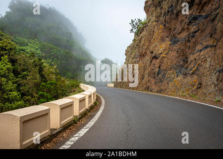 Fahren Sie durch Nebel auf der TF-123 Bergstraße in den Anaga Bergen auf Teneriffa Stockfoto