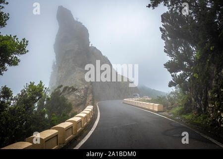 Fahren Sie durch Nebel auf der TF-123 Bergstraße in den Anaga Bergen auf Teneriffa Stockfoto