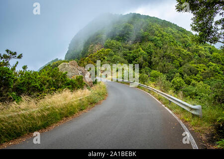 Fahren Sie durch Nebel auf der TF-123 Bergstraße in den Anaga Bergen auf Teneriffa Stockfoto