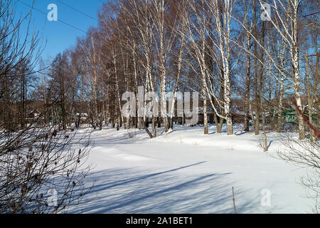 Dorf in Birke im Winter auf Hintergrund blauer Himmel bei Solar Tag Stockfoto