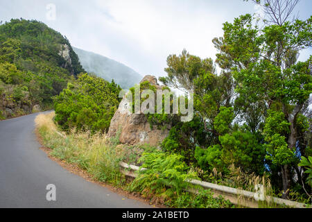 Fahren Sie durch Nebel auf der TF-123 Bergstraße in den Anaga Bergen auf Teneriffa Stockfoto