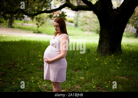 Blick auf eine schwangere Frau, die unter einem Baum. Stockfoto