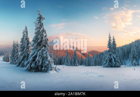 Fantastische orange Sonnenuntergang in Snowy Mountains. Malerische Winterlandschaft mit schneebedeckten Bäumen und leuchtende Berg Stockfoto