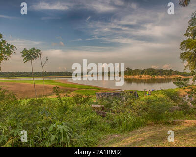 Javari Fluss, den Nebenfluss des Amazonas bei Niedrigwasser Saison Amazonia. Selva an der Grenze von Brasilien und Peru. Südamerika. Stockfoto