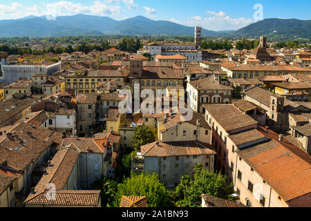 Erhöhte, Panoramablick auf das historische Zentrum von Lucca vom Torre Guinigi Turm mit der Basilika San Frediano im Sommer, Toskana, Italien Stockfoto