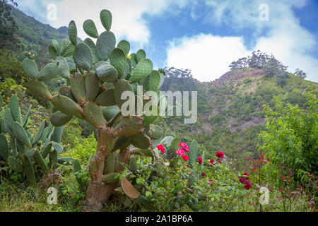 Wunderschöne kleine Dörfer in den Anaga Bergen auf Teneriffa, Kanarische Inseln, Spanien Stockfoto