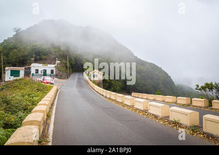 Fahren Sie durch Nebel auf der TF-123 Bergstraße in den Anaga Bergen auf Teneriffa Stockfoto