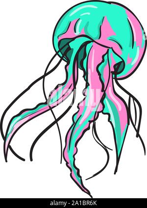 Quallen, Illustration, Vektor auf weißem Hintergrund. Stock Vektor