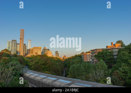 Die Blätter sind langsam drehend verschiedene Farben. Der Herbst steht vor der Tür. Stockfoto