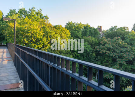 Die Blätter sind langsam drehend verschiedene Farben. Der Herbst steht vor der Tür. Stockfoto